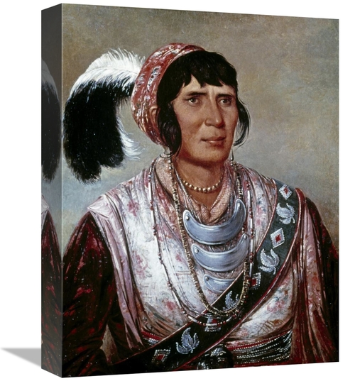 Global Gallery GCS-277030-16-142 16 in. Osceola Art Print - George Cat