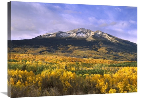 Global Gallery GCS-397013-2432-142 24 x 32 in. East Beckwith Mountain 