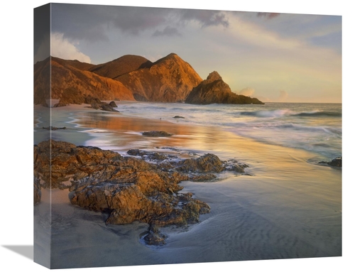 Global Gallery GCS-396089-16-142 16 in. Bean Hollow Beach, Big Sur