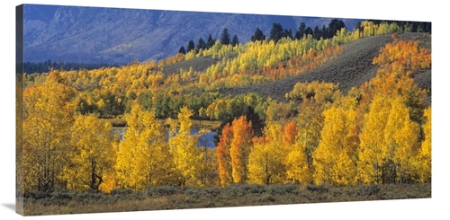 Global Gallery GCS-467282-2448-142 24 x 48 in. Ranger Peak & Aspen For
