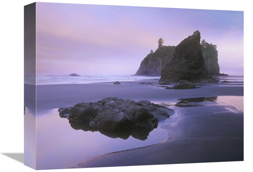 Global Gallery GCS-396865-1216-142 12 x 16 in. Ruby Beach with Seastac