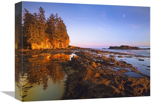 Global Gallery  12 x 16 in. Tidepools Exposed at Low Tide, Botanic