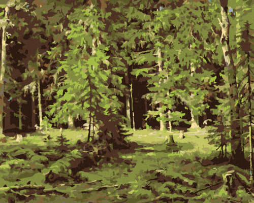 Paint by Numbers - Forest (IVAN SHISHKIN)