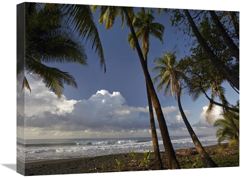 Global Gallery GCS-396768-1824-142 18 x 24 in. Palm Trees on the Beach
