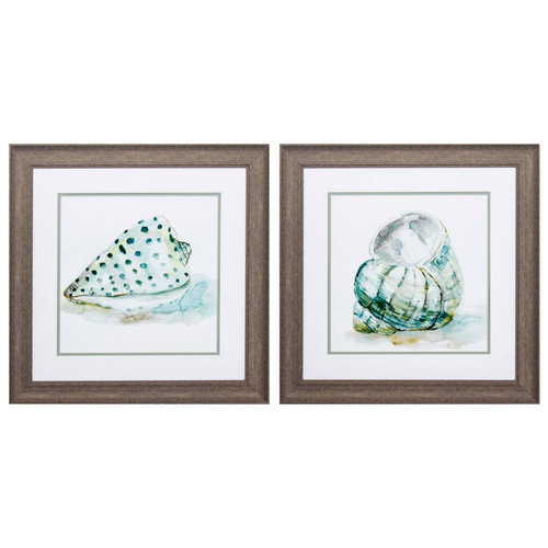 Propac Images 2276 Malecon Shell Wall Art - Pack of 2