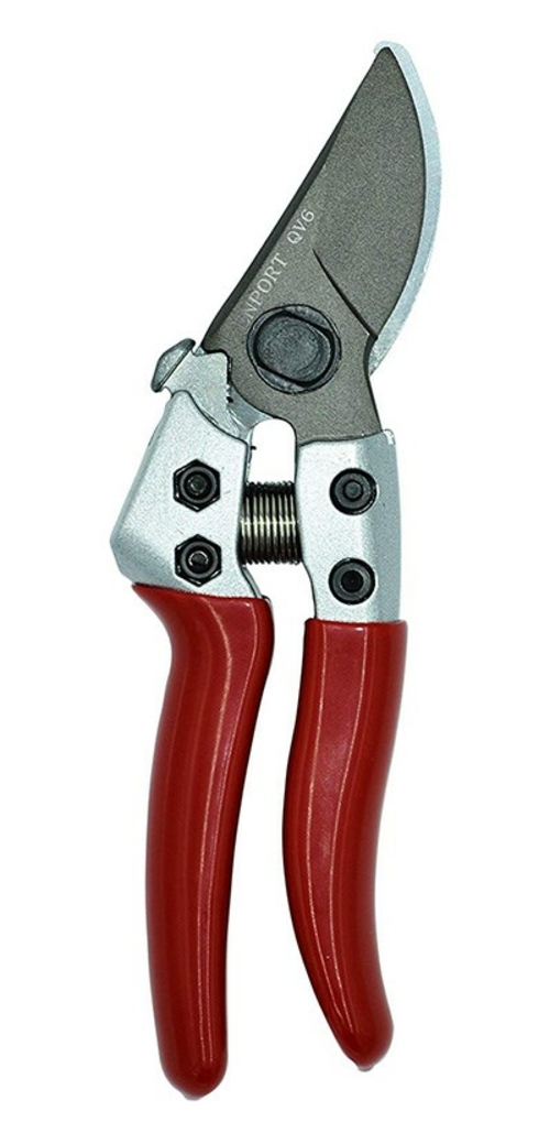 Zenport Industries QV6-10PK 6 in. Japanese Style Pruner - Pack of 10
