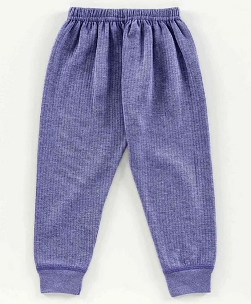 Solid Anti Bacterial Thermal Bottom