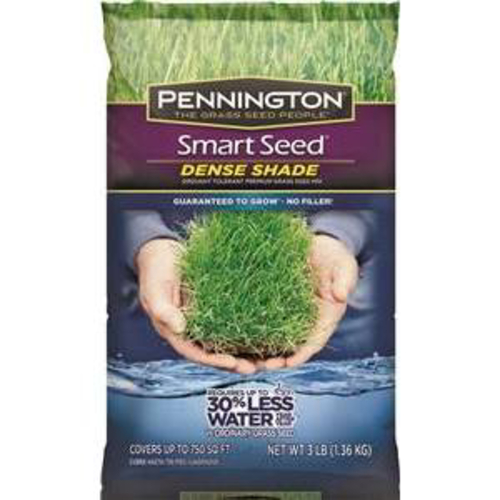 Pennington 100526625 Smart Seed Dense 3 Shade