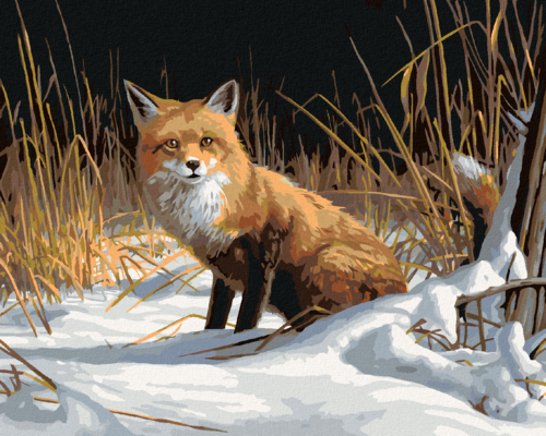 Zuty - Paint by Numbers – FOX IN THE SNOW (JAMES HAUTMAN), 40x50 cm