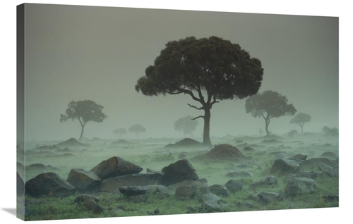 Global Gallery GCS-396140-2436-142 24 x 36 in. Rain Storm on the Seren