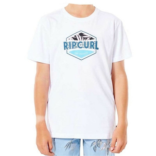 Child's Short Sleeve T-Shirt Rip Curl Filler Tee B White