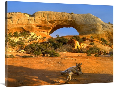 Global Gallery GCS-397187-3040-142 30 x 40 in. Wilson Arch with A Span