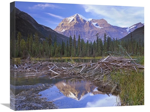 Global Gallery GCS-452160-2024-142 20 x 24 in. Beaver Dam & Mount Robs