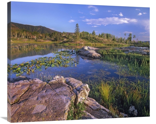 Global Gallery GCS-396127-36-142 36 in. Scout Lake, San Juan Mount