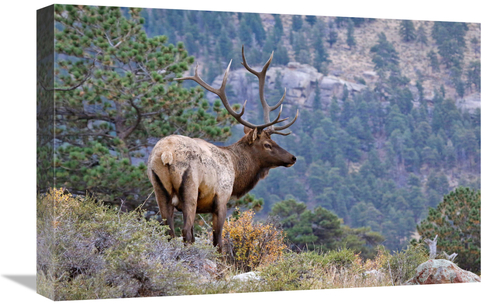 Global Gallery GCS-486457-22-142 22 in. Canyon View Art Print - Vic Sc