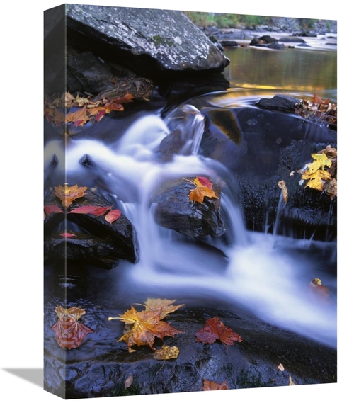 12 x 16 in. Autumn Leaves in Little River, Great Smoky Mountains N