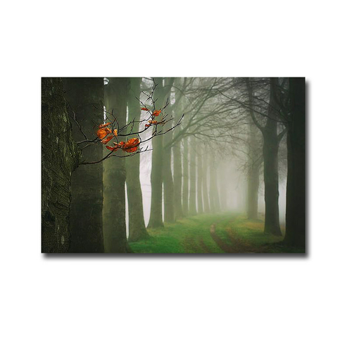 Artistic Home Gallery 2436T788CG Old & New by Lars Van De Goor Premium