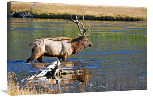 Global Gallery GCS-486495-36-142 36 in. The River Crossing Art Print -