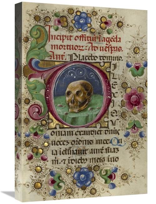 Global Gallery GCS-454749-1624-142 16 x 24 in. Initial D - A Skull in 