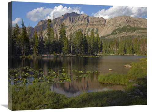 Global Gallery GCS-396005-2432-142 24 x 32 in. Butterfly Lake, Uin