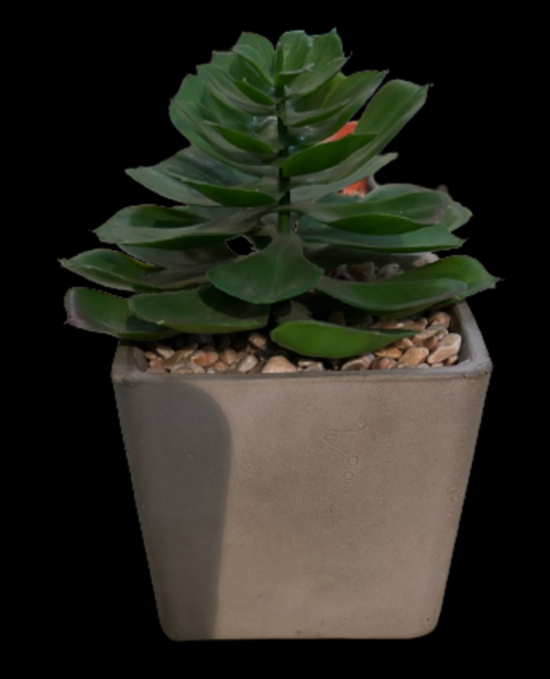 Artificial Plant & Pot