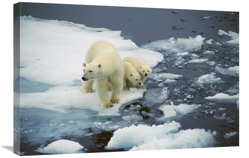 Global Gallery GCS-453509-2030-142 20 x 30 in. Polar Bear Mother with 