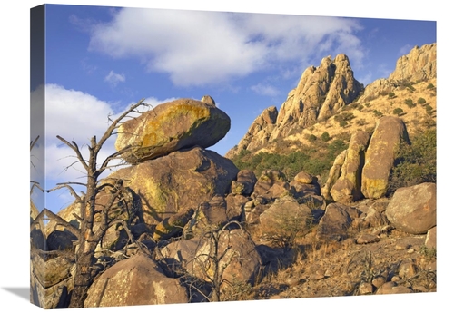Global Gallery GCS-396342-1824-142 18 x 24 in. Rockpile, Davis Mou