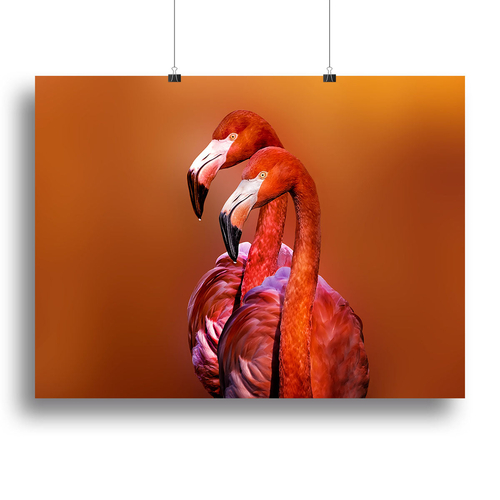 Flamingo Portrait Canvas Print or Poster