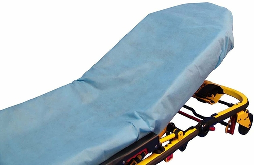 Disposable Fitted Sheets 30" x 84". Pack of 50 Blue Elastic Fitted