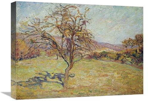 Global Gallery GCS-266465-22-142 22 in. Landscape Art Print - Armand G