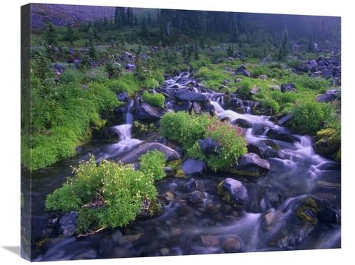 Global Gallery GCS-396841-2228-142 22 x 28 in. Paradise River with Wil