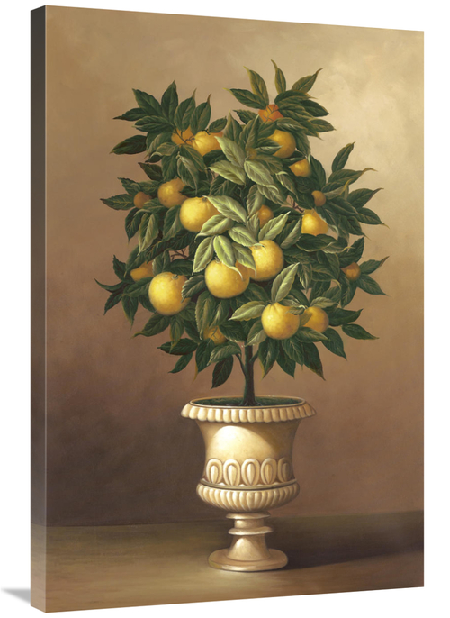 Global Gallery GCS-127134-2436-142 24 x 36 in. Potted Orange Tree Art 