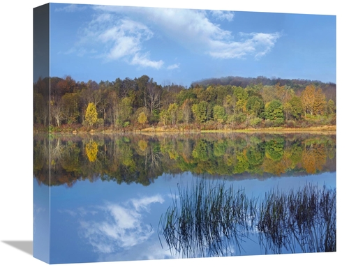 Global Gallery GCS-396958-16-142 16 in. Deciduous Forest Along Lackawa