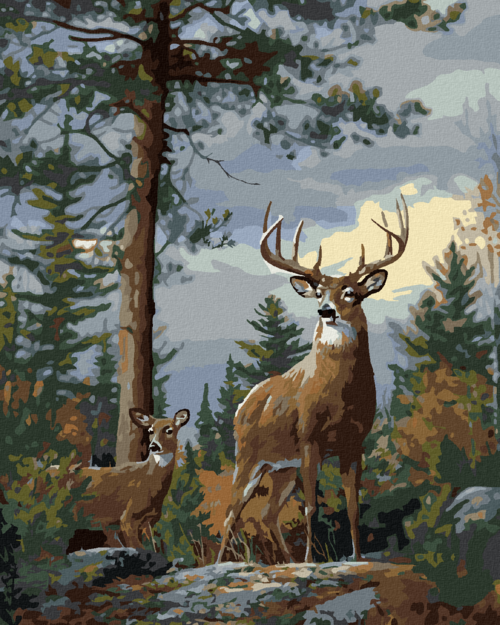 Zuty - Paint by Numbers â€“ DEER AND ITS COMPANION IN THE FOREST (JOE