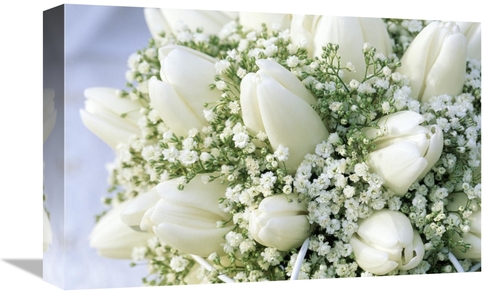 Global Gallery GCS-398274-1218-142 12 x 18 in. Bouquet of White Tulips