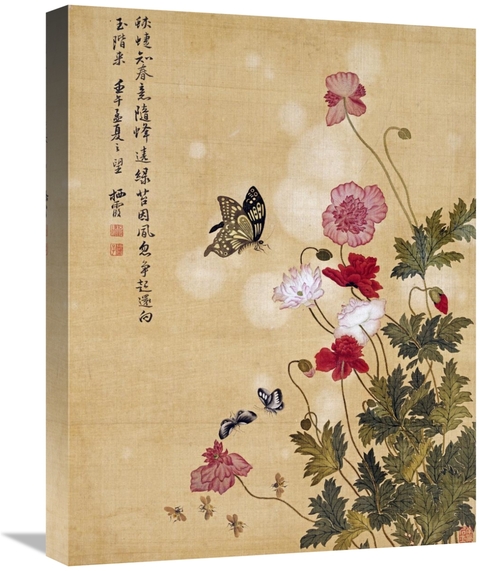 Global Gallery GCS-267607-22-142 22 in. Corn Poppy & Butterflies Art P