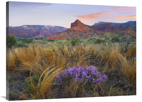 Global Gallery GCS-396004-3040-142 30 x 40 in. Caprock Canyons State P