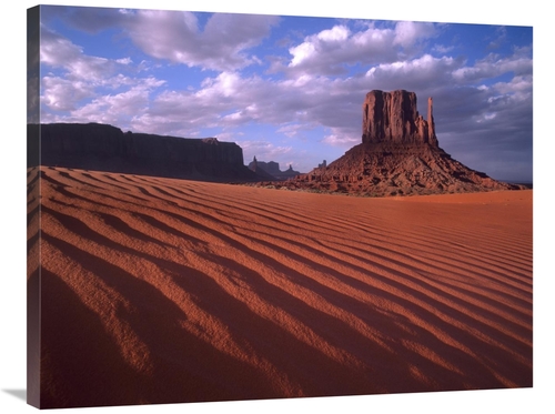 Global Gallery GCS-396861-2835-142 28 x 35 in. East & West Mittens,