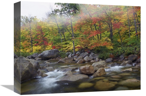 Global Gallery GCS-397129-1216-142 12 x 16 in. Swift River Flowing Thr