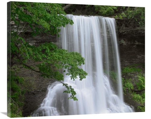 Global Gallery GCS-396492-36-142 36 in. Cascading Waterfall in Jeffers