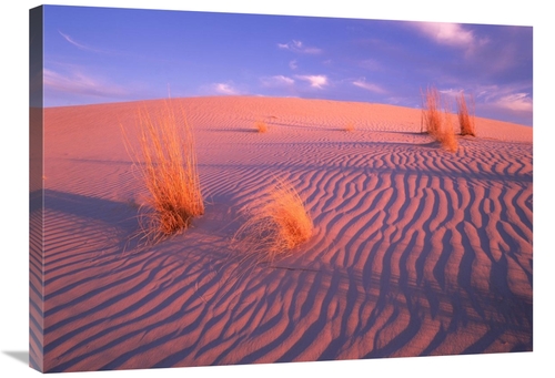 Global Gallery GCS-396417-2432-142 24 x 32 in. Gypsum Dunes, Guada