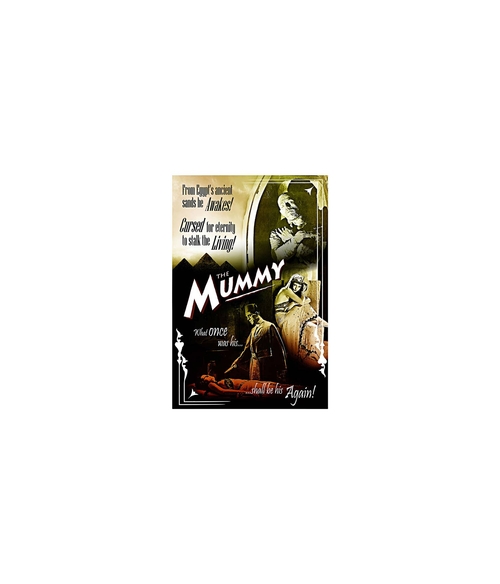 The Mummy Monster Movie Poster 8 x 12 inch Tin Sign