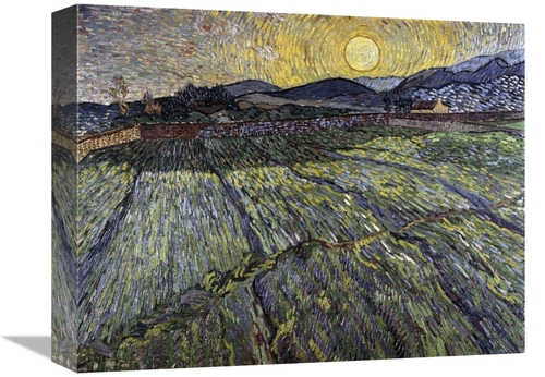 Global Gallery GCS-281270-16-142 16 in. Enclosed Field with Rising Sun