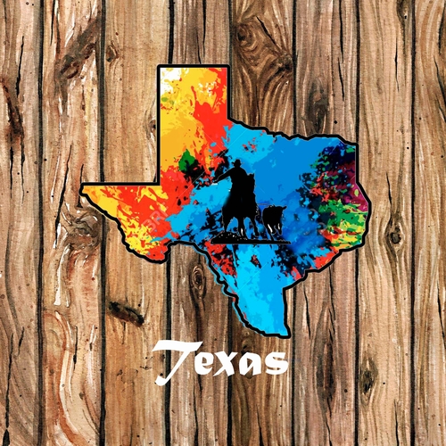 State Of Texas A 3 Inch Diameter Patchs