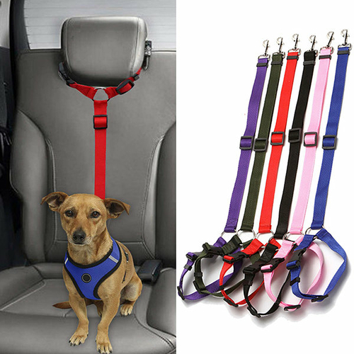 Pet Car Harness