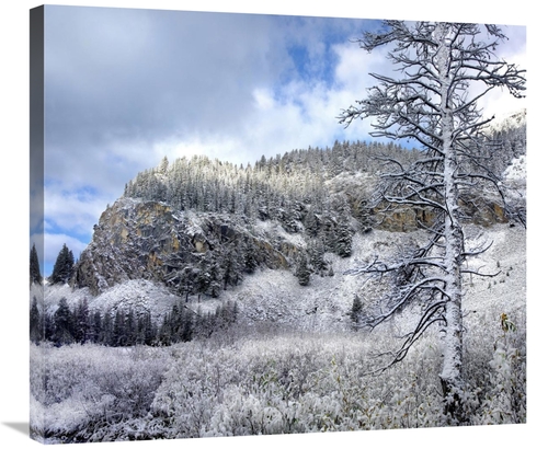 Global Gallery GCS-396196-30-142 30 in. Light Snow Covering Boulder Mo