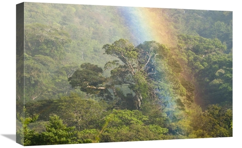 Global Gallery GCS-397318-1624-142 16 x 24 in. Rainbow Over Rainforest