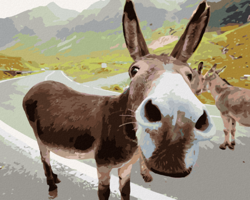 Paint by Numbers - DONKEY ON A ROAD