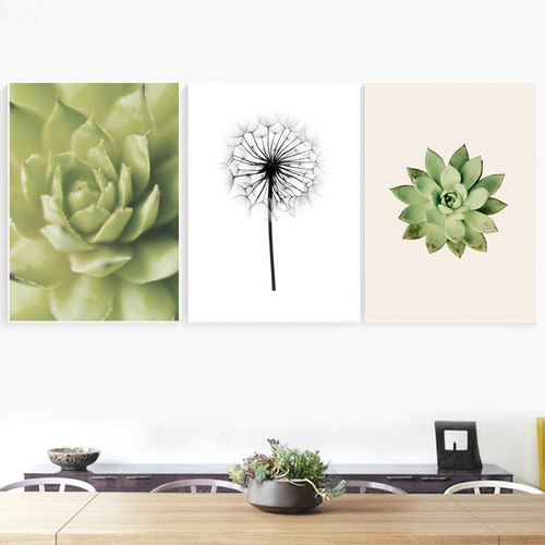 Dandelion Succulents Flower Posters And