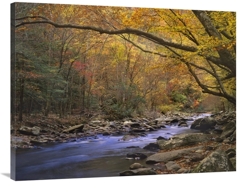 Global Gallery GCS-397091-3040-142 30 x 40 in. Little River Flowing Th